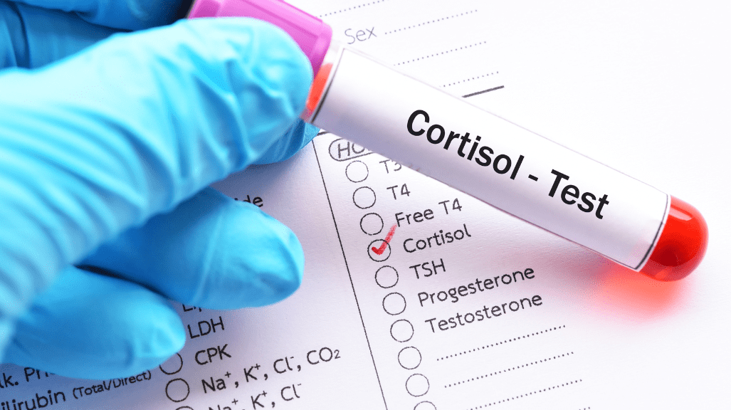 cortisol levels